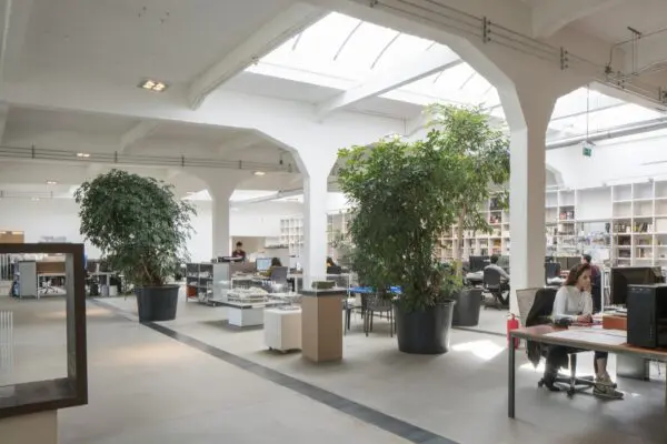 Nieman Groep Rotterdam